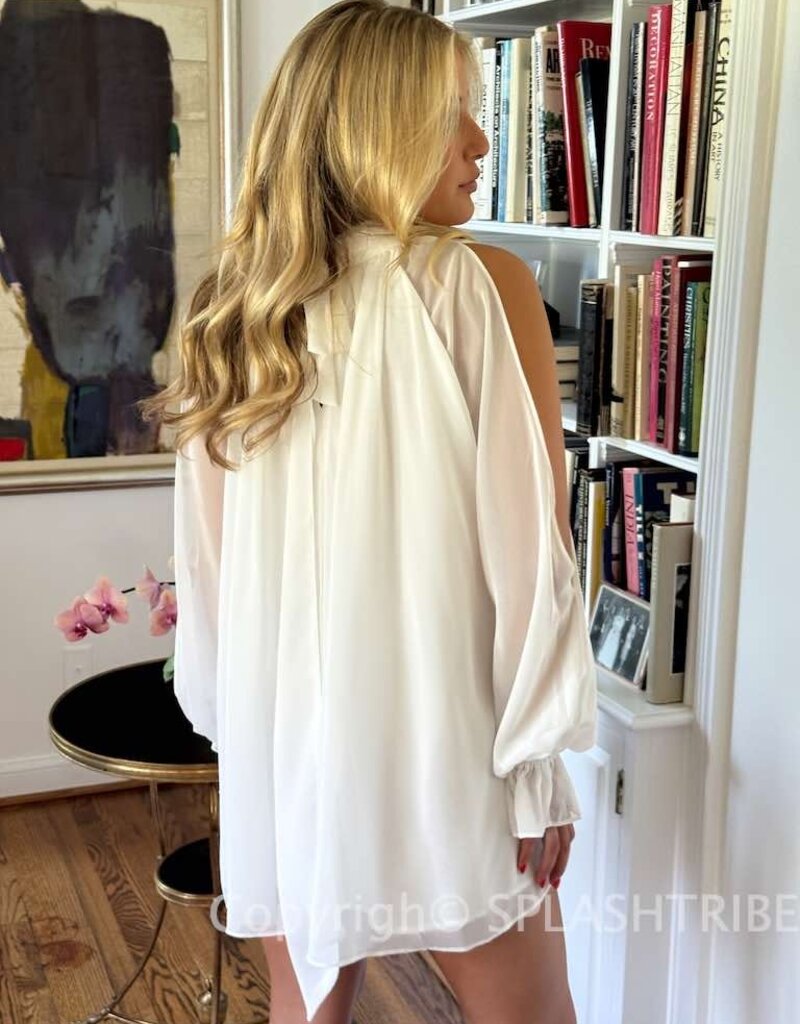 Celine Chiffon Long Sleeve Flowy Mini Dress