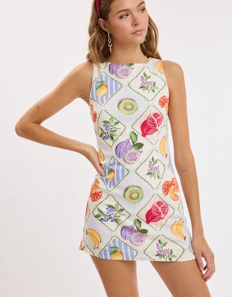 Fruit Set Fitted Sleeveless Shift Mini Dress