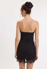 Juliette Strapless Lace Mini Dress