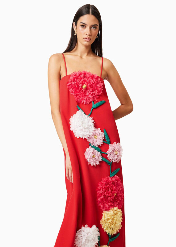 Elliatt Buttercup Embroidered Maxi Dress