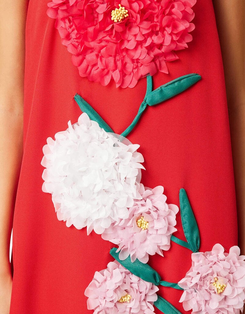 Elliatt Buttercup Embroidered Maxi Dress