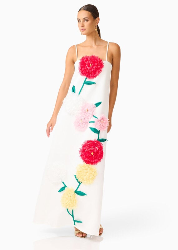 Elliatt Buttercup Embroidered Maxi Dress