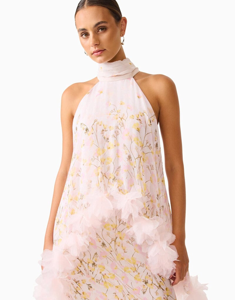 Elliatt Tulsia Floral Cape Maxi Dress Gown