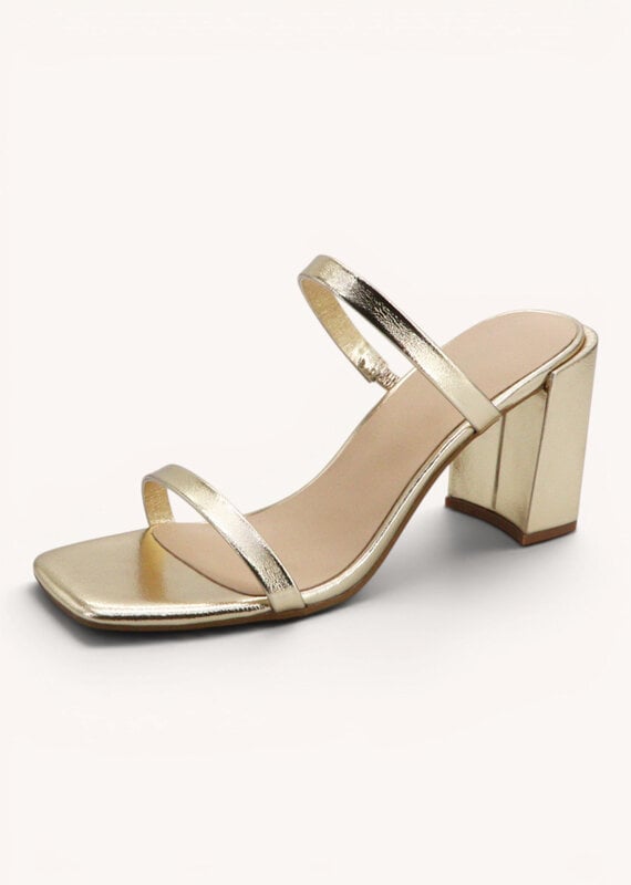 Josie Double Flat Strap Chunky Heels