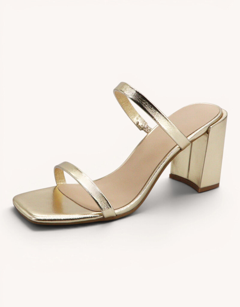 Josie Double Flat Strap Chunky Heels