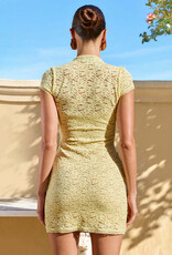 Luani Mandarin Collar Mini Dress