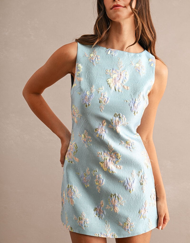 Anna Sleeveless Floral Jacquard Mini Dress