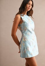 Anna Sleeveless Floral Jacquard Mini Dress