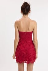 Juliette Strapless Lace Mini Dress