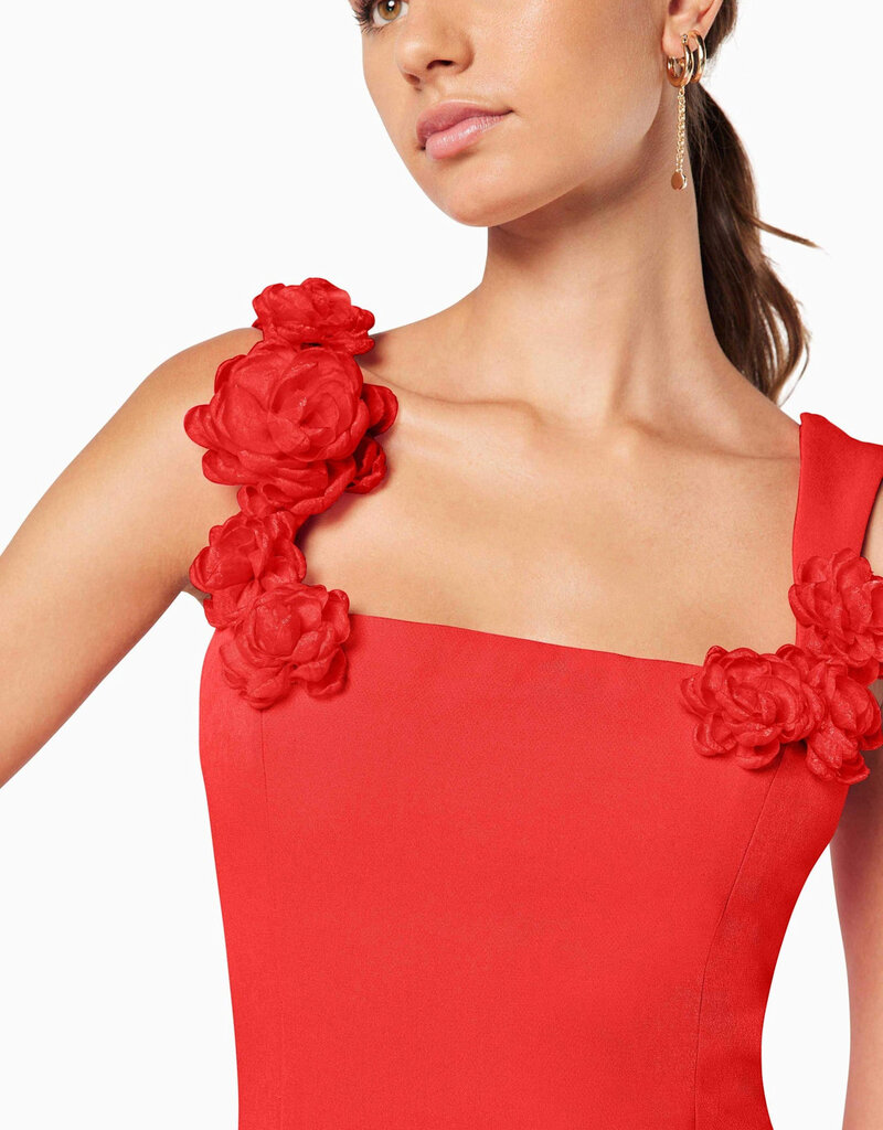 Elliatt Trompe 3D Floral Mini Dress