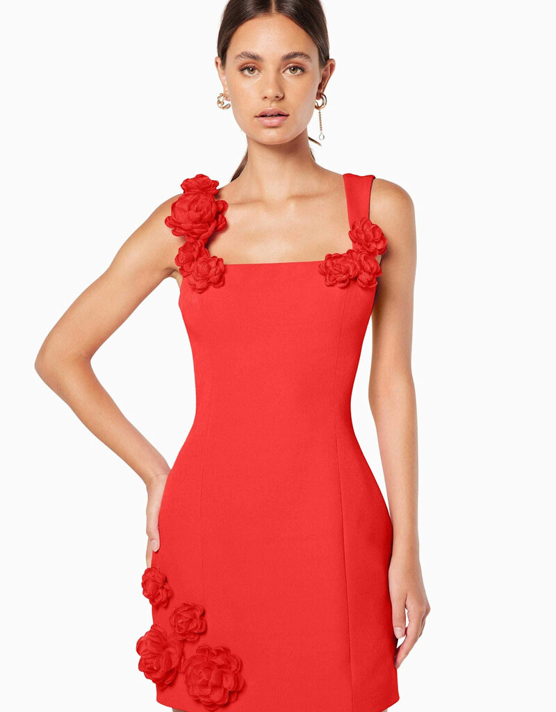 Elliatt Trompe 3D Floral Mini Dress