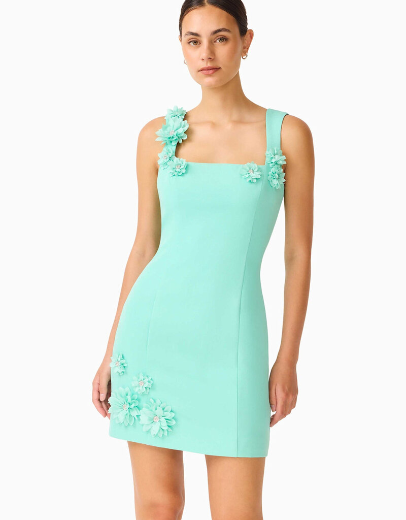 Elliatt Trompe 3D Floral Mini Dress