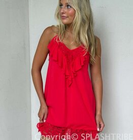 Sydney Lace Trim Tie Back Swing Mini Dress