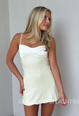 Everly Satin Bust Tiny Sequin Mini Dress