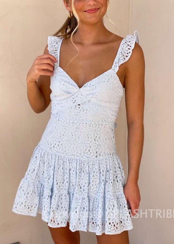 Bree Lace Tie Back Mini Dress