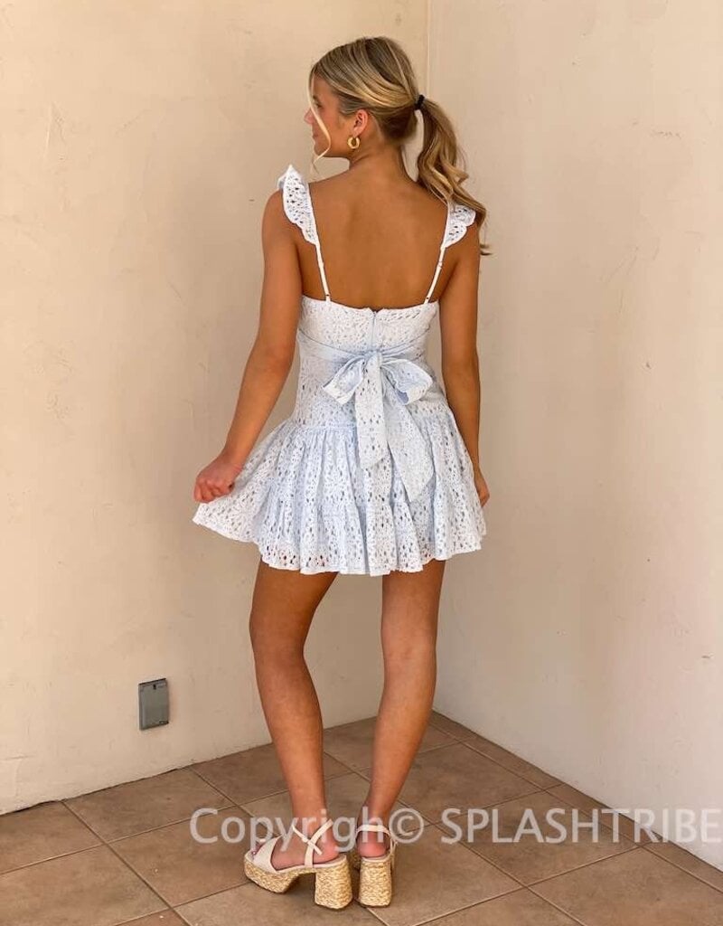 Bree Lace Tie Back Mini Dress