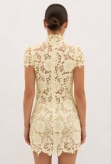 Frances Cap Sleeve Lace Mini Dress
