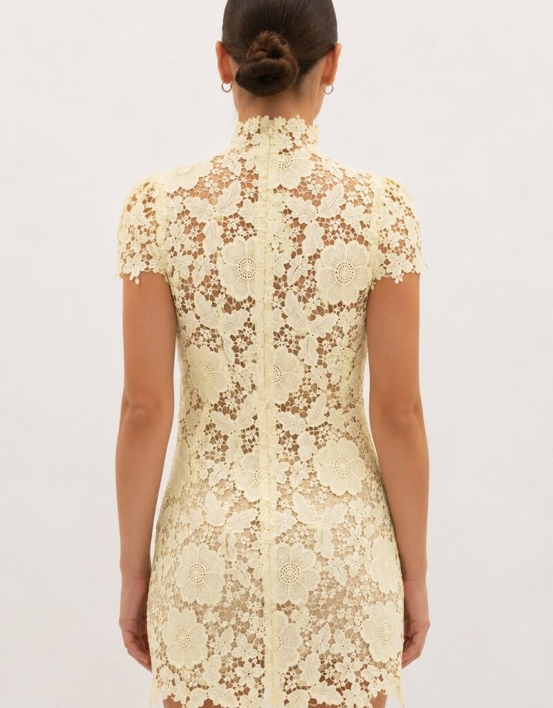 Frances Cap Sleeve Lace Mini Dress