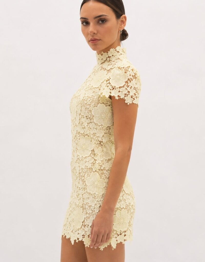 Frances Cap Sleeve Lace Mini Dress