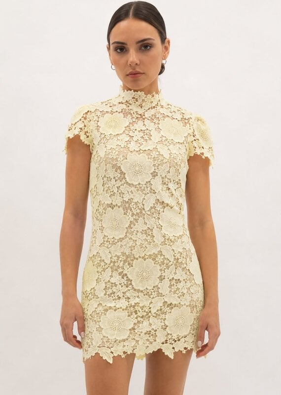 Frances Cap Sleeve Lace Mini Dress