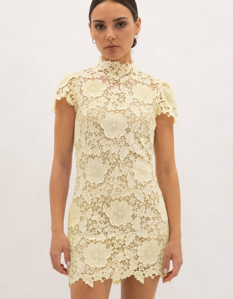 Frances Cap Sleeve Lace Mini Dress