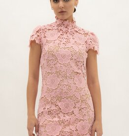 Frances Cap Sleeve Lace Mini Dress
