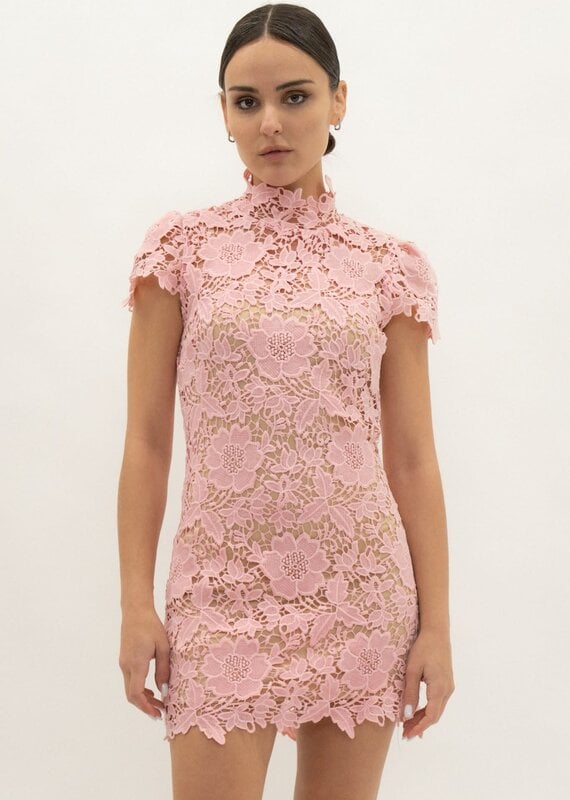 Frances Cap Sleeve Lace Mini Dress