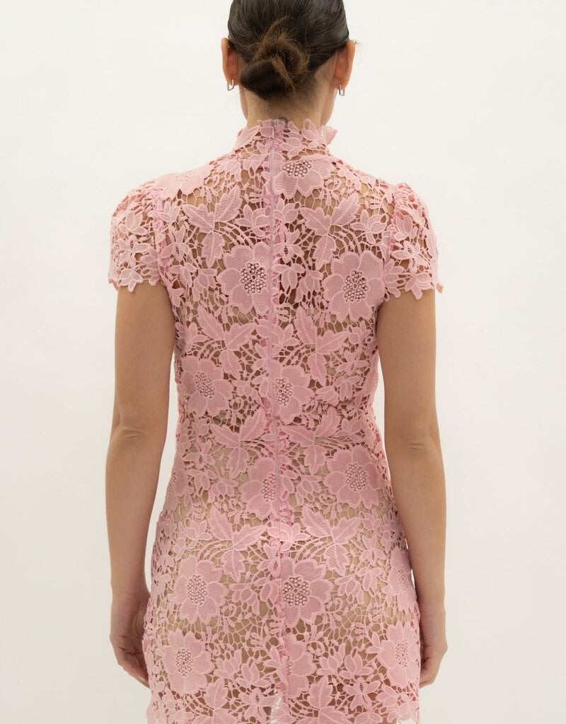 Frances Cap Sleeve Lace Mini Dress