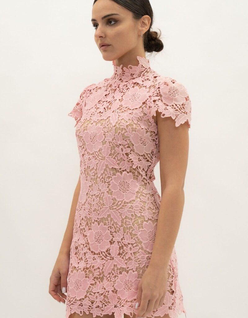 Frances Cap Sleeve Lace Mini Dress