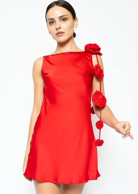 Lila 3D Rose Satin Detail Backless Mini Dress