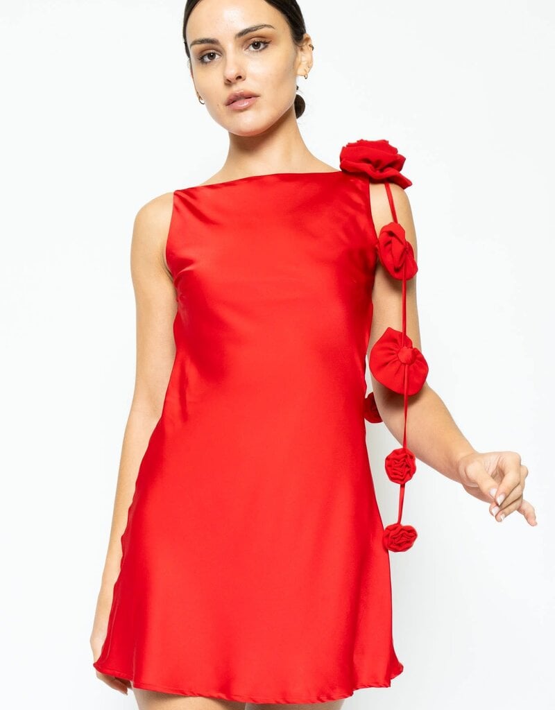 Lila 3D Rose Satin Detail Backless Mini Dress