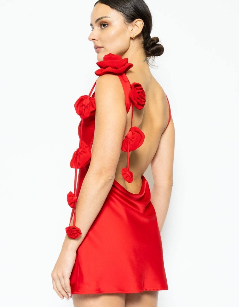 Lila 3D Rose Satin Detail Backless Mini Dress