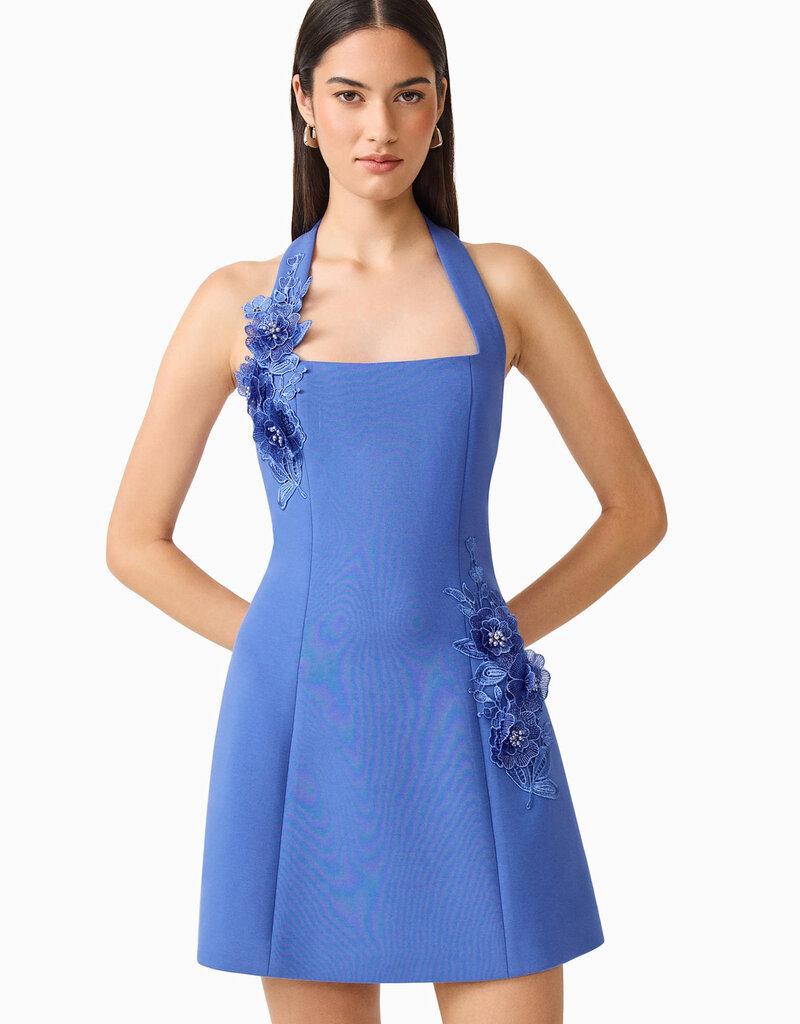 Elliatt Talitha Halter 3D Floral Mini Dress