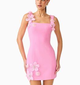 Elliatt Chantelle 3D Floral Mini Dress