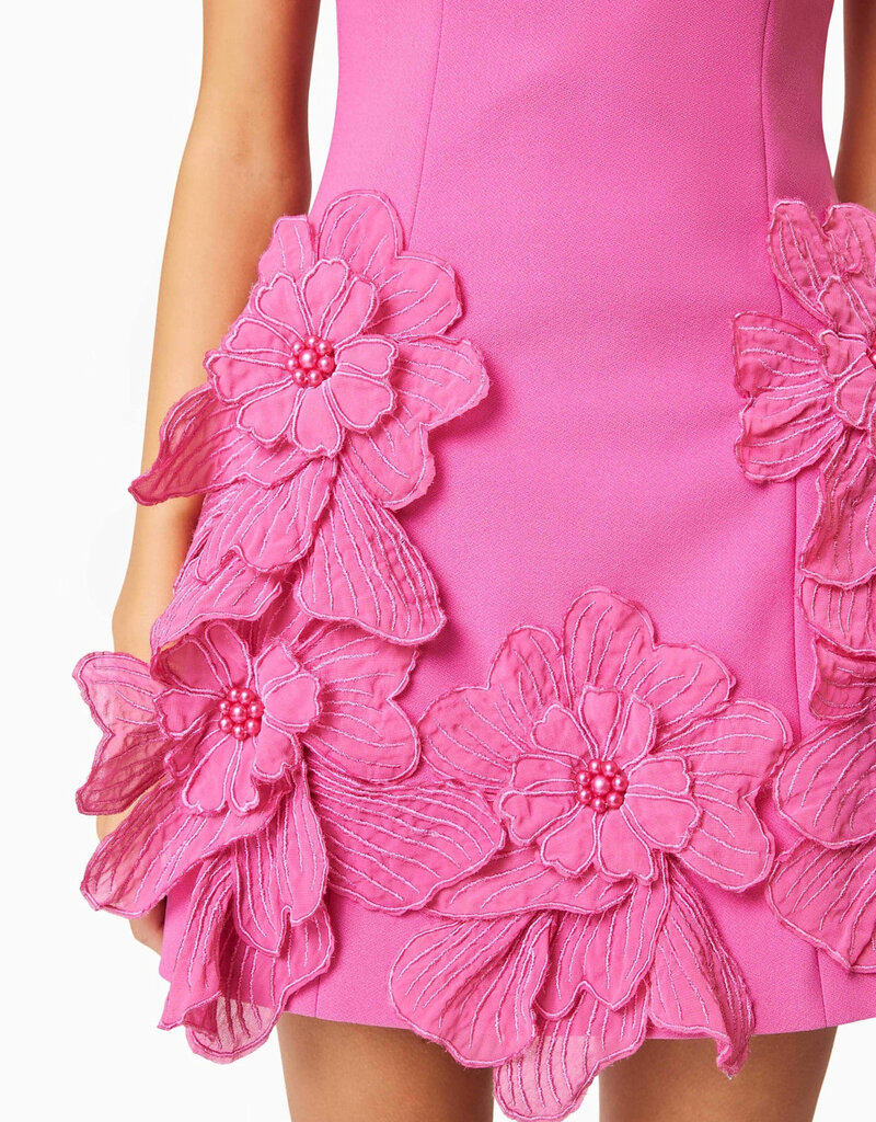 Elliatt Janelle 3D Floral Mini Dress