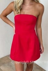 Poppy Strapless A Line Mini Dress