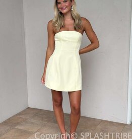 Poppy Strapless A Line Mini Dress