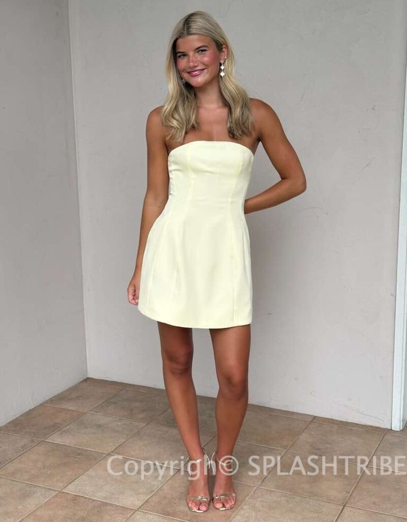 Poppy Strapless A Line Mini Dress