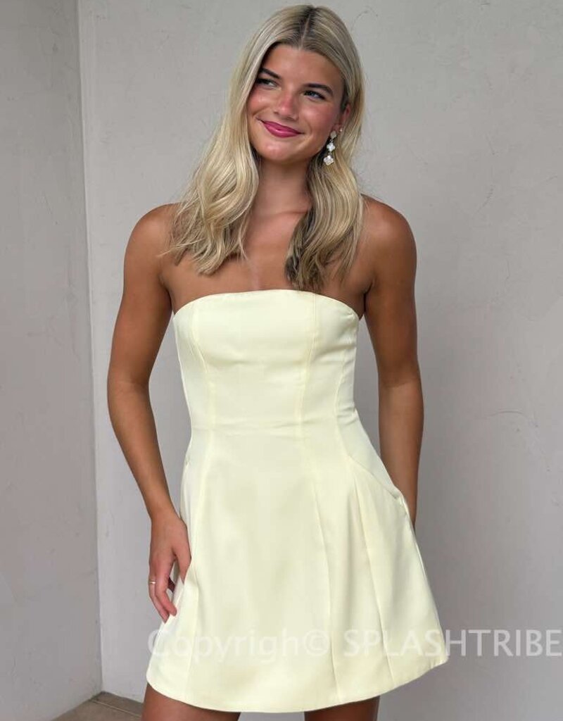 Poppy Strapless A Line Mini Dress