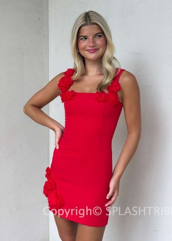Elliatt Trompe 3D Floral Mini Dress