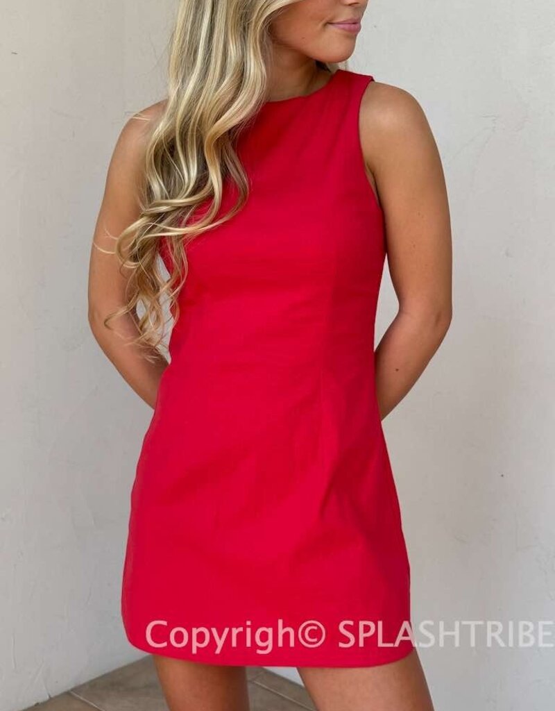 Fitted Sleeveless Shift Mini Dress