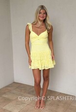 Bree Lace Tie Back Mini Dress