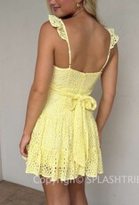 Bree Lace Tie Back Mini Dress