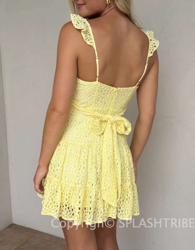 Bree Lace Tie Back Mini Dress
