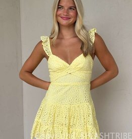 Bree Lace Tie Back Mini Dress