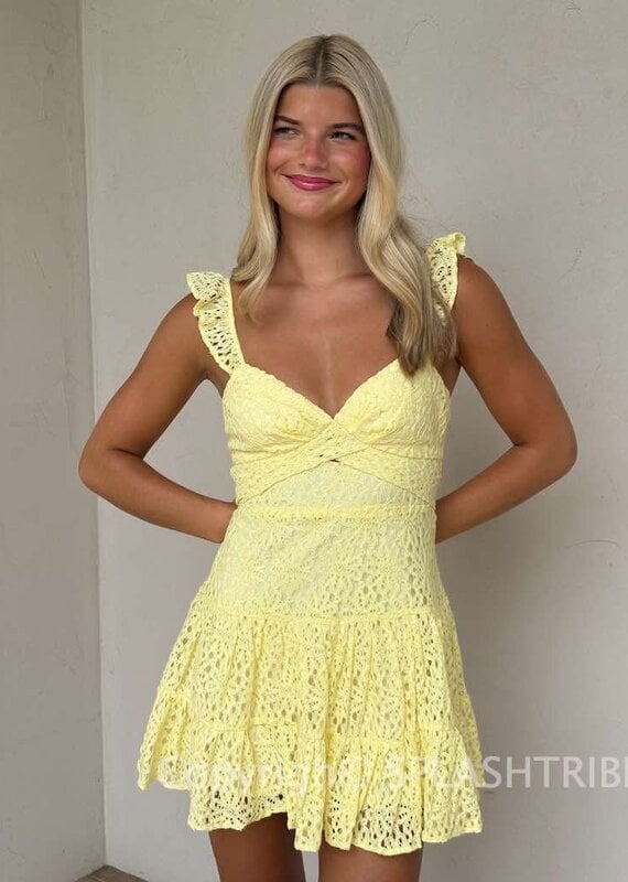 Bree Lace Tie Back Mini Dress