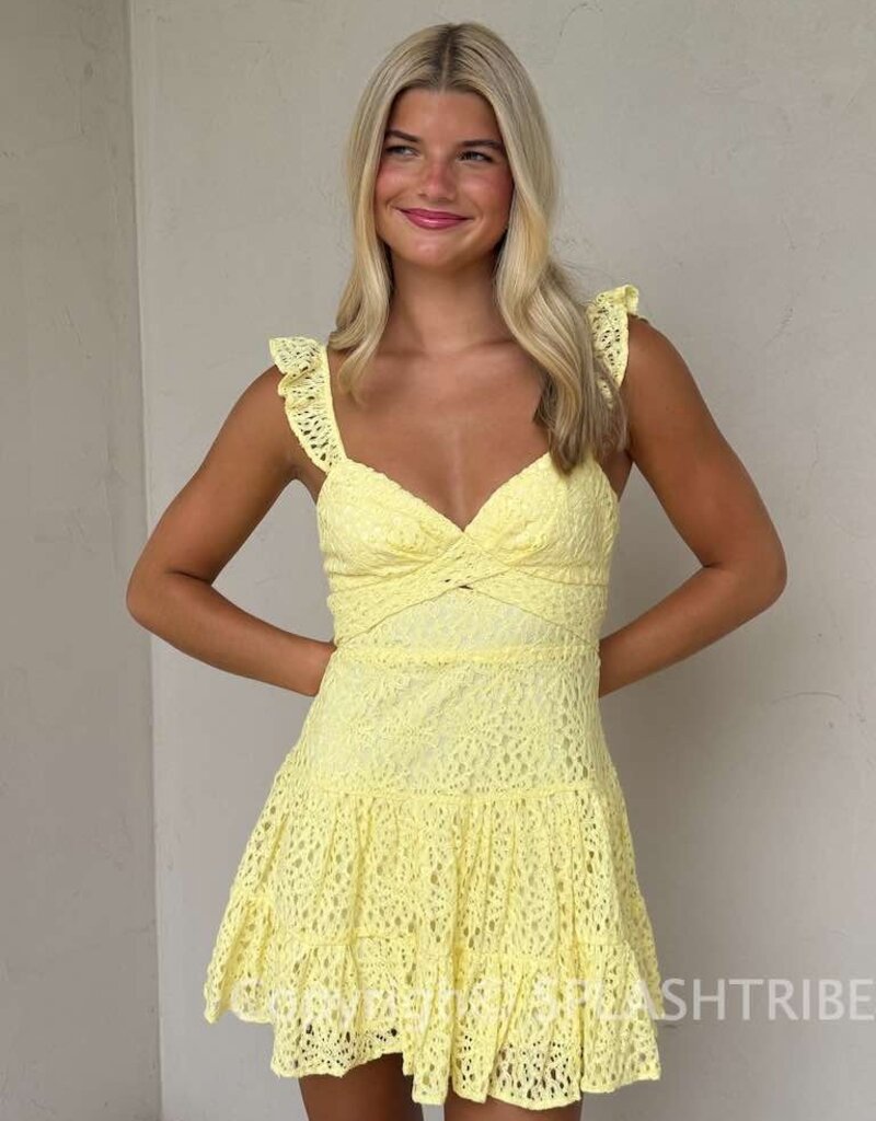 Bree Lace Tie Back Mini Dress