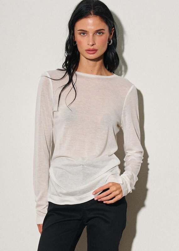 Sheer Long Sleeve Basic Top