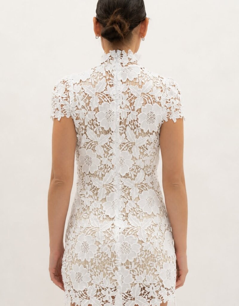 Frances Cap Sleeve Lace Mini Dress