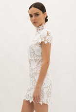 Frances Cap Sleeve Lace Mini Dress